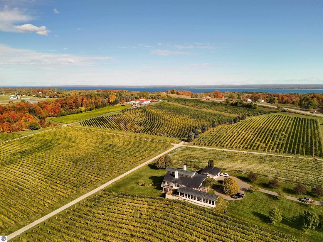 House in Traverse City, Michigan, United States 3 - 15693083