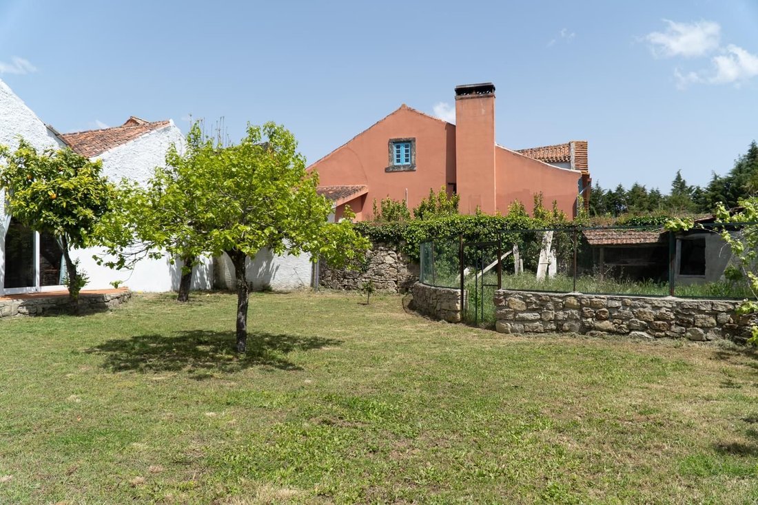 Country House in Lamas, Coimbra District, Portugal 4 - 16468690