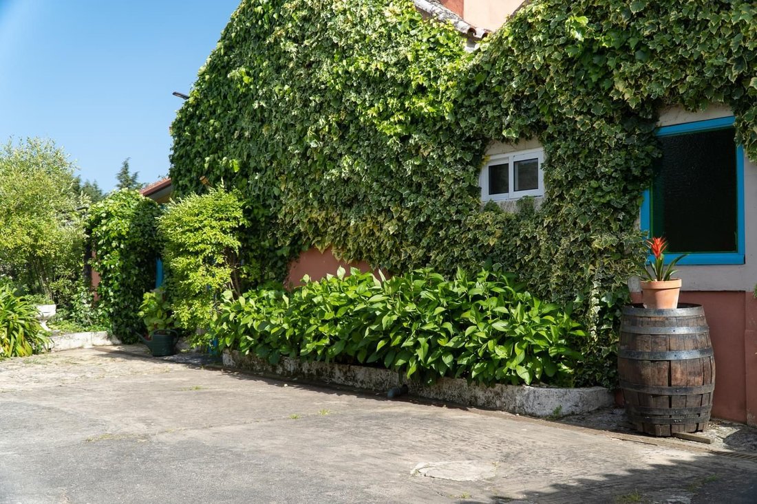 Country House in Lamas, Coimbra District, Portugal 5 - 16468690