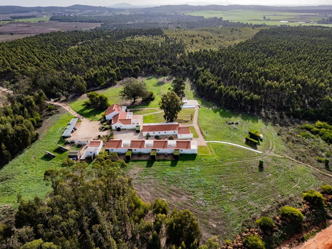Villa in Sao Salvador e Santa Maria, Beja District, Portugal 1 - 16468848