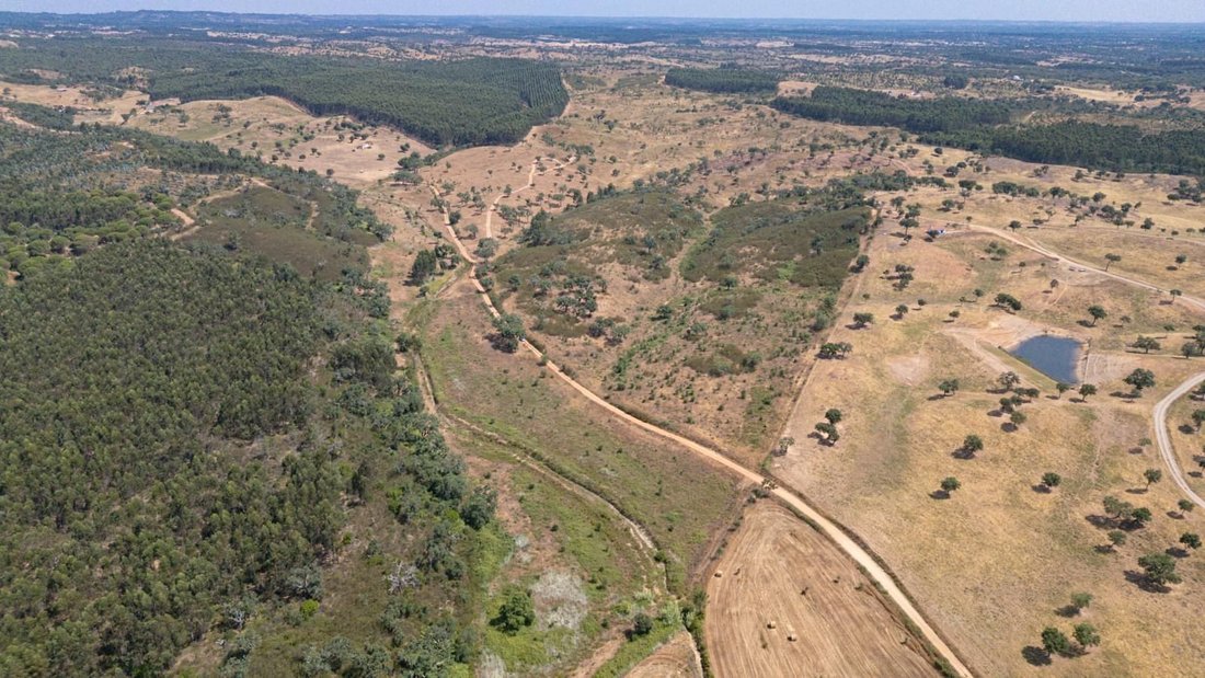 Land in Sao Domingos e Vale de Agua, Setubal, Portugal 4 - 16468879