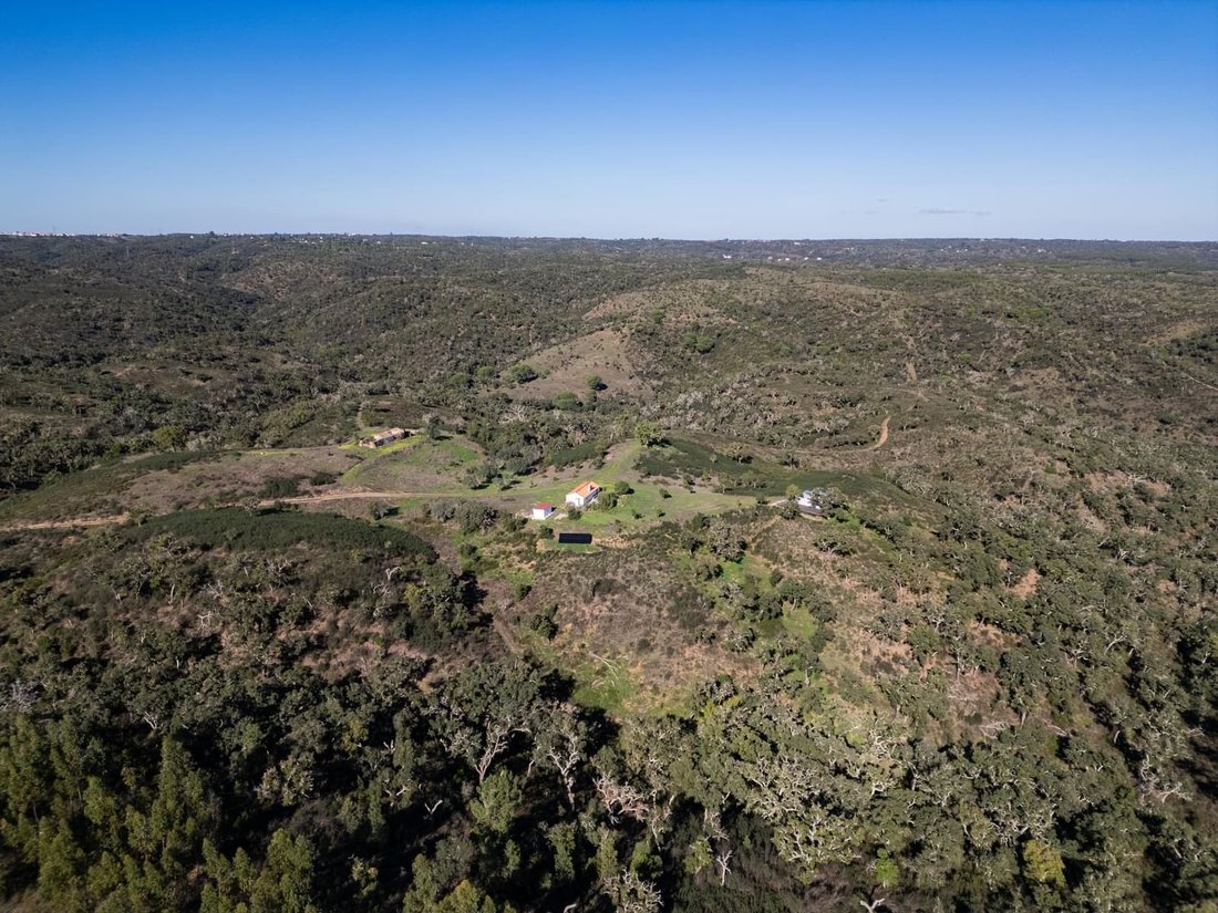Land in Santiago do Cacem, Santa Cruz e Sao Bartolomeu da Serra, Setubal, Portugal 5 - 16468895
