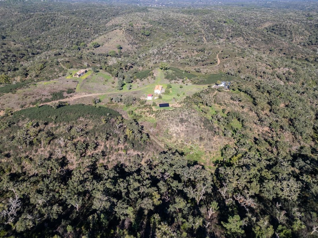 Land in Santiago do Cacem, Santa Cruz e Sao Bartolomeu da Serra, Setubal, Portugal 3 - 16468895