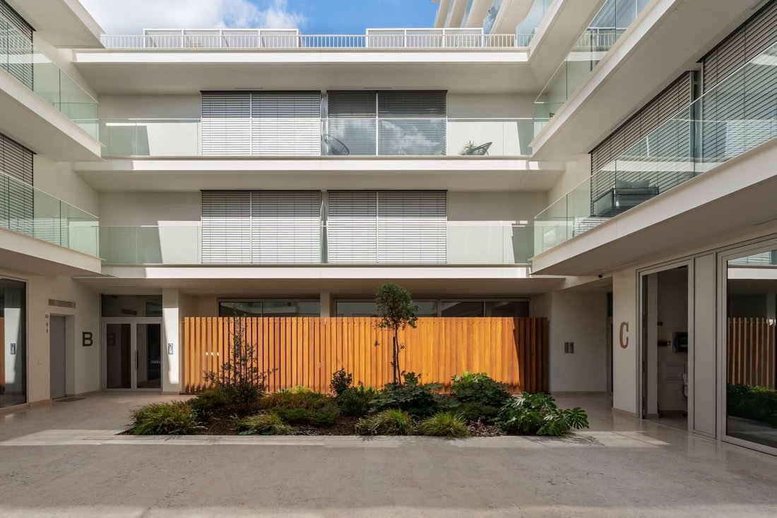 Apartment in Sao Domingos de Benfica, Lisbon, Portugal 4 - 16468264