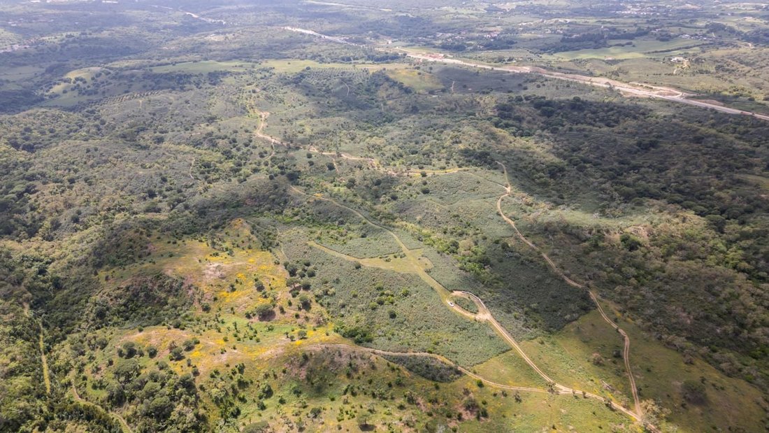 Land in Santiago do Cacem, Santa Cruz e Sao Bartolomeu da Serra, Setubal, Portugal 5 - 16468771
