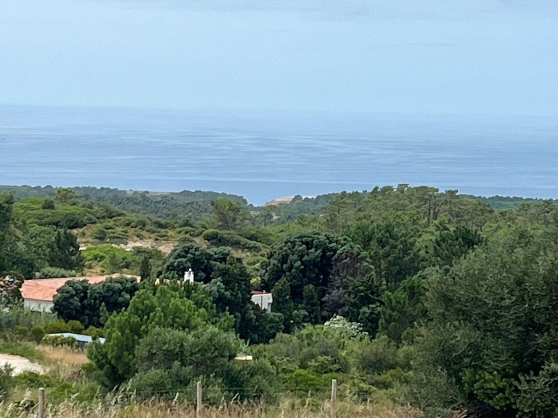 Land in Sesimbra (Castelo), Setubal, Portugal 5 - 16468739