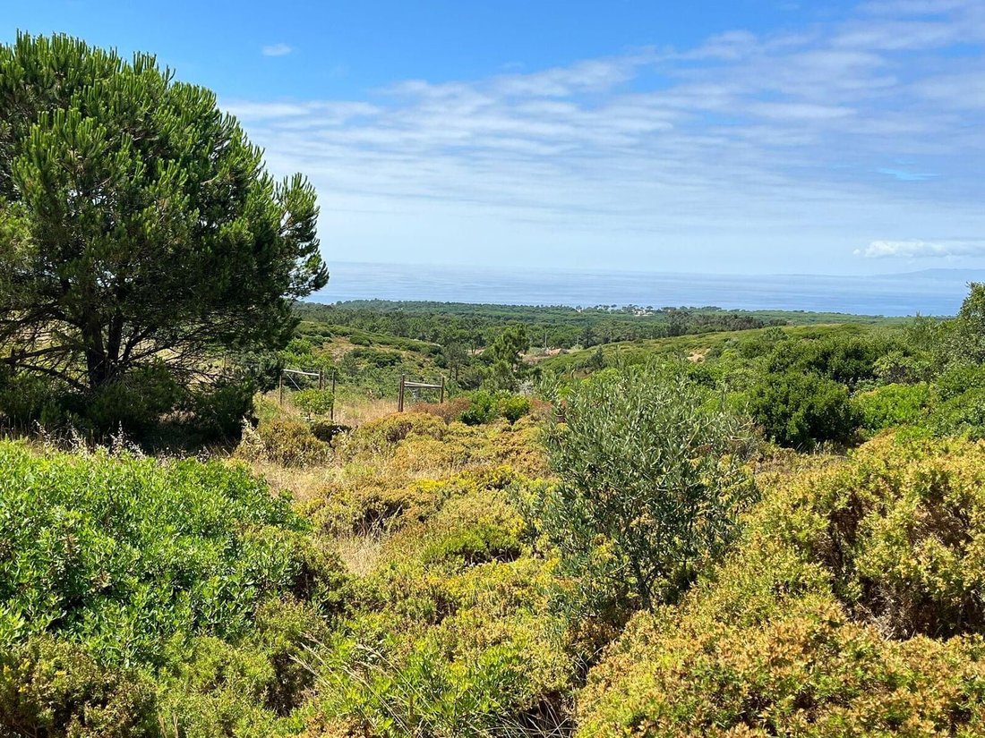 Land in Sesimbra (Castelo), Setubal, Portugal 4 - 16468739