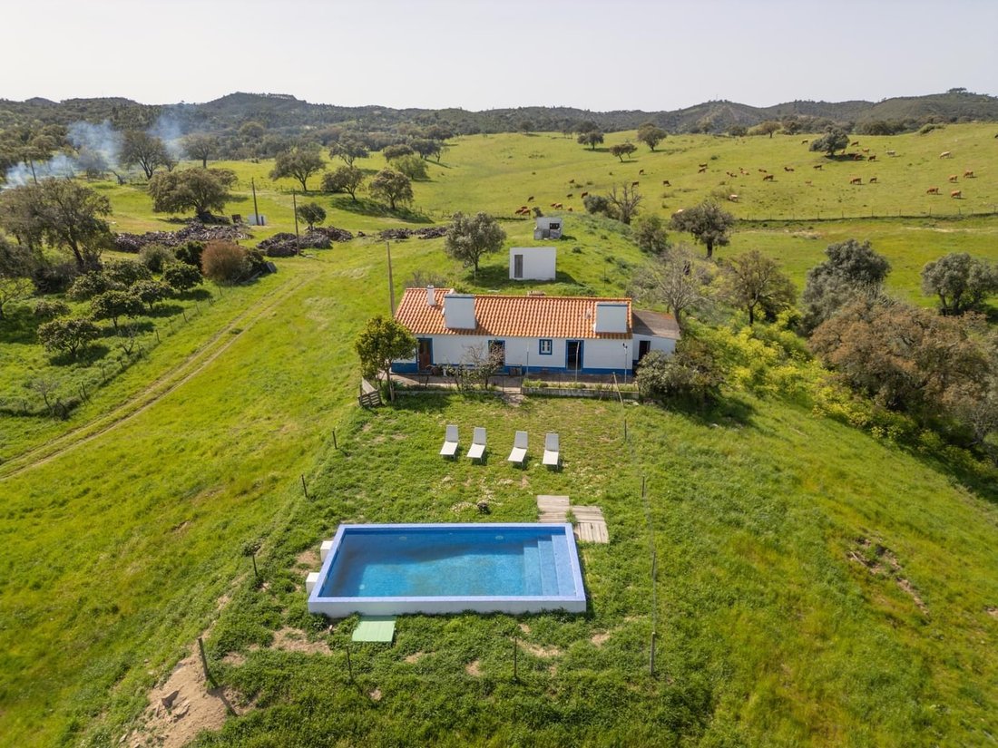 Country House in Grandola e Santa Margarida da Serra, Setubal, Portugal 5 - 16466631