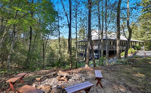 House in Mineral Bluff, Georgia, United States 1
