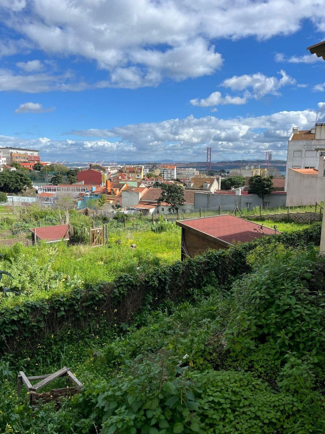 Ajuda, Lisbon, Portugal 1 - 16468145