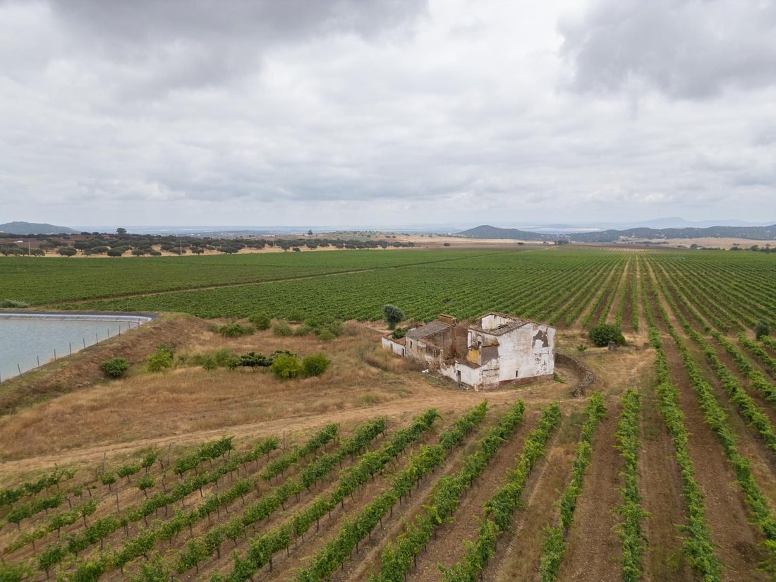 Land in Ciladas, Évora District, Portugal 4 - 16468287