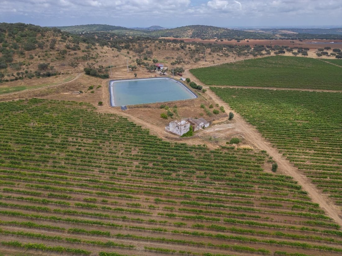 Land in Ciladas, Évora District, Portugal 2 - 16468287
