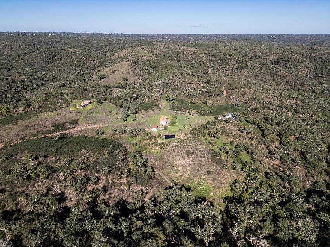 Land in Santiago do Cacem, Santa Cruz e Sao Bartolomeu da Serra, Setubal, Portugal 4 - 16468895