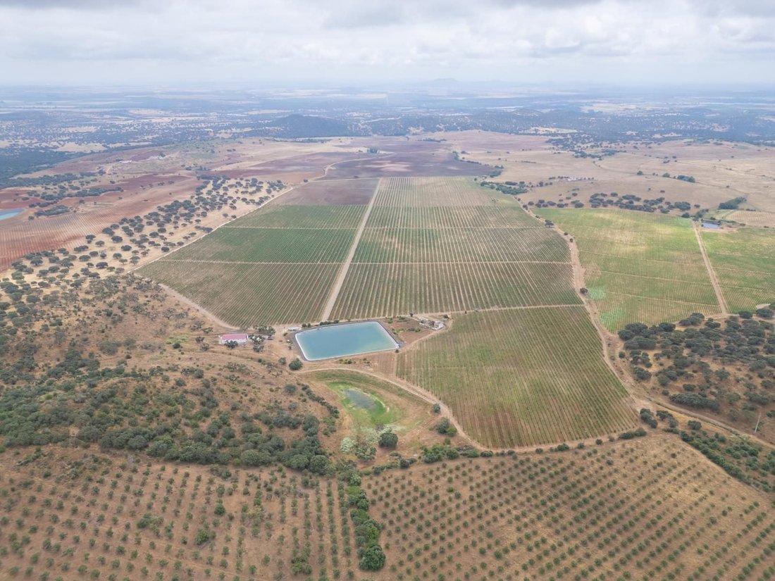 Land in Ciladas, Évora District, Portugal 3 - 16468287