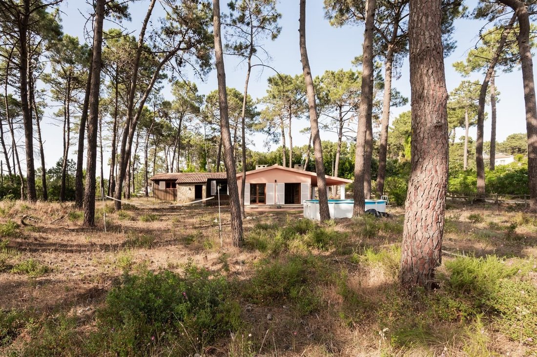 Land in Aroeira, Charneca de Caparica e Sobreda, Portugal 2 - 16468871