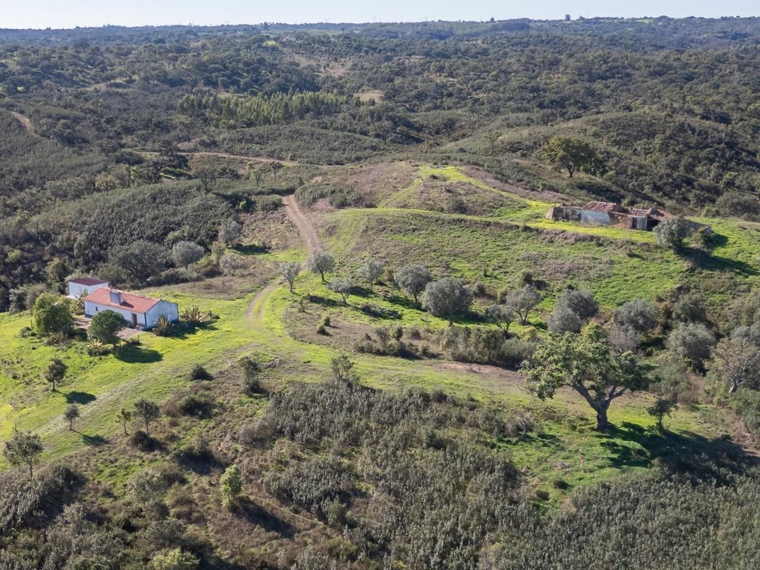 Land in Santiago do Cacem, Santa Cruz e Sao Bartolomeu da Serra, Setubal, Portugal 1 - 16468895