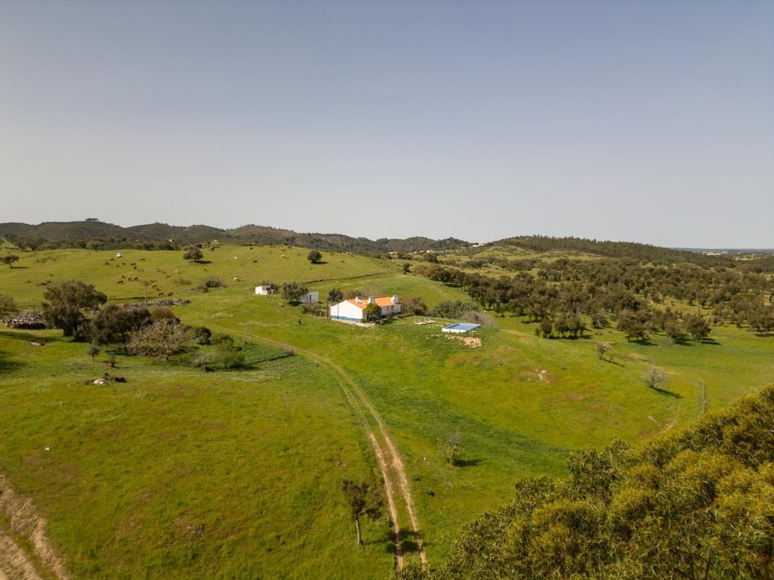 Country House in Grandola e Santa Margarida da Serra, Setubal, Portugal 2 - 16466631