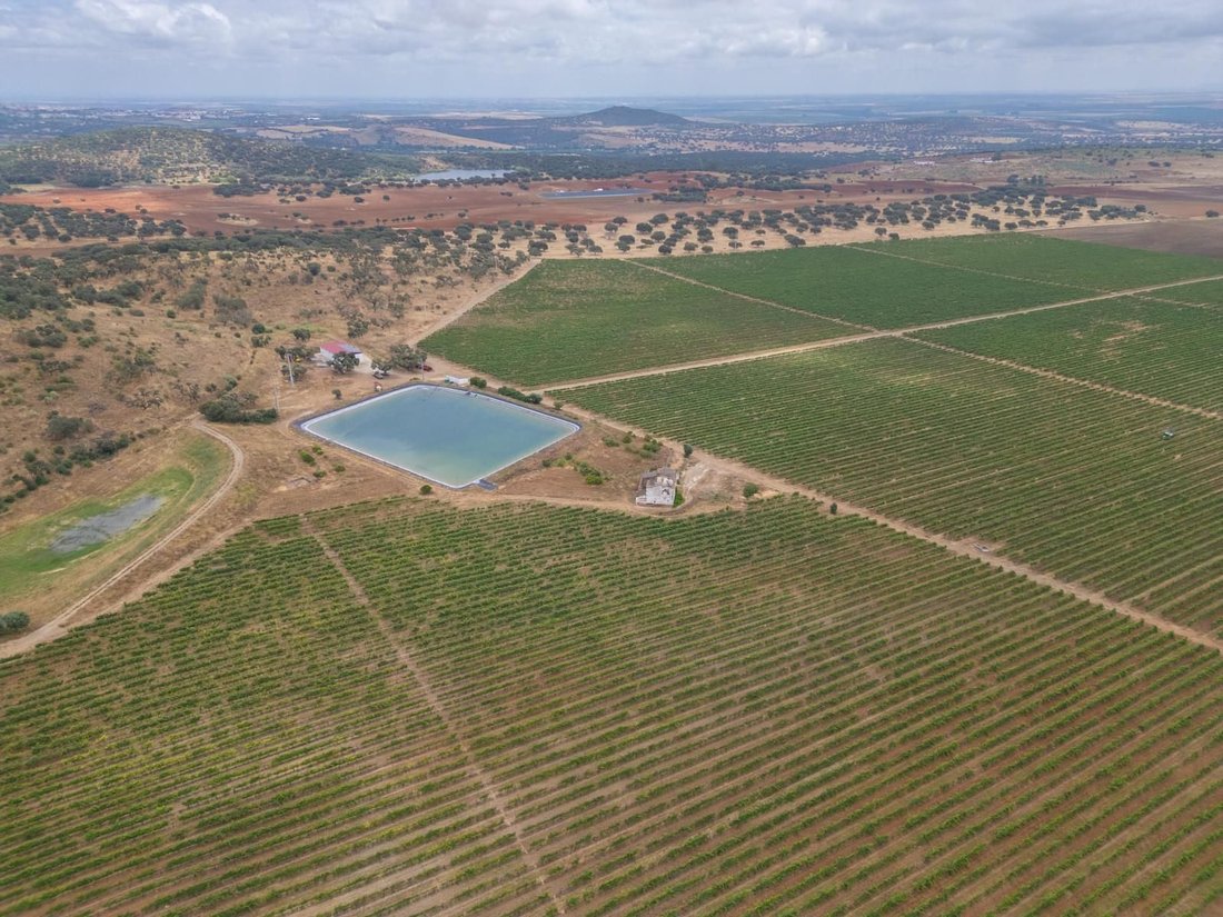 Land in Ciladas, Évora District, Portugal 1 - 16468287