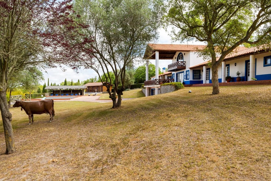 Country House in Santiago do Cacem, Santa Cruz e Sao Bartolomeu da Serra, Setubal, Portugal 3 - 16469075