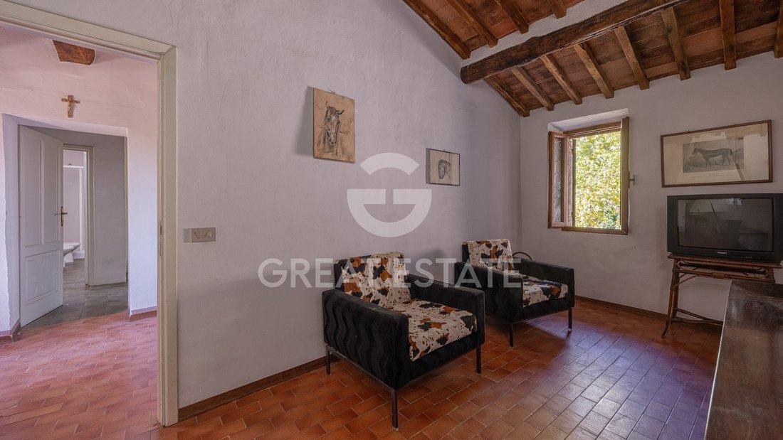 Estate in Castellina in Chianti, Tuscany, Italy 5 - 16469806