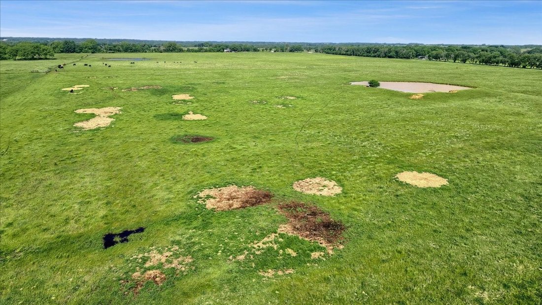 Land in Whitesboro, Texas, United States 5 - 16465304