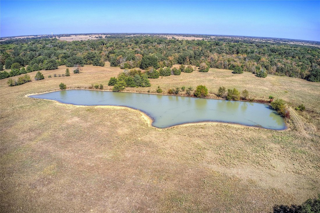 House in Sulphur Springs, Texas, United States 3 - 16466497