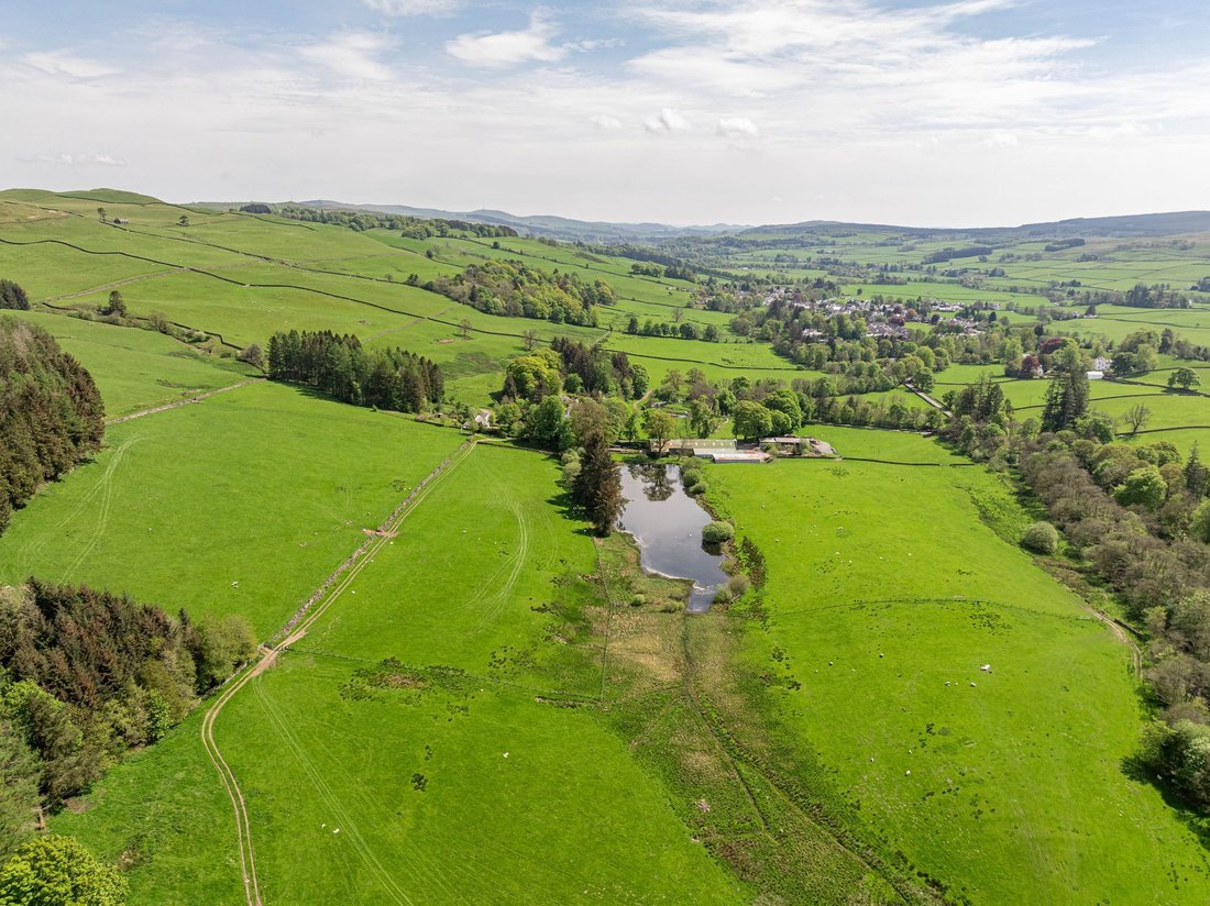 Dumfries and Galloway, Scotland 5 - 16469815