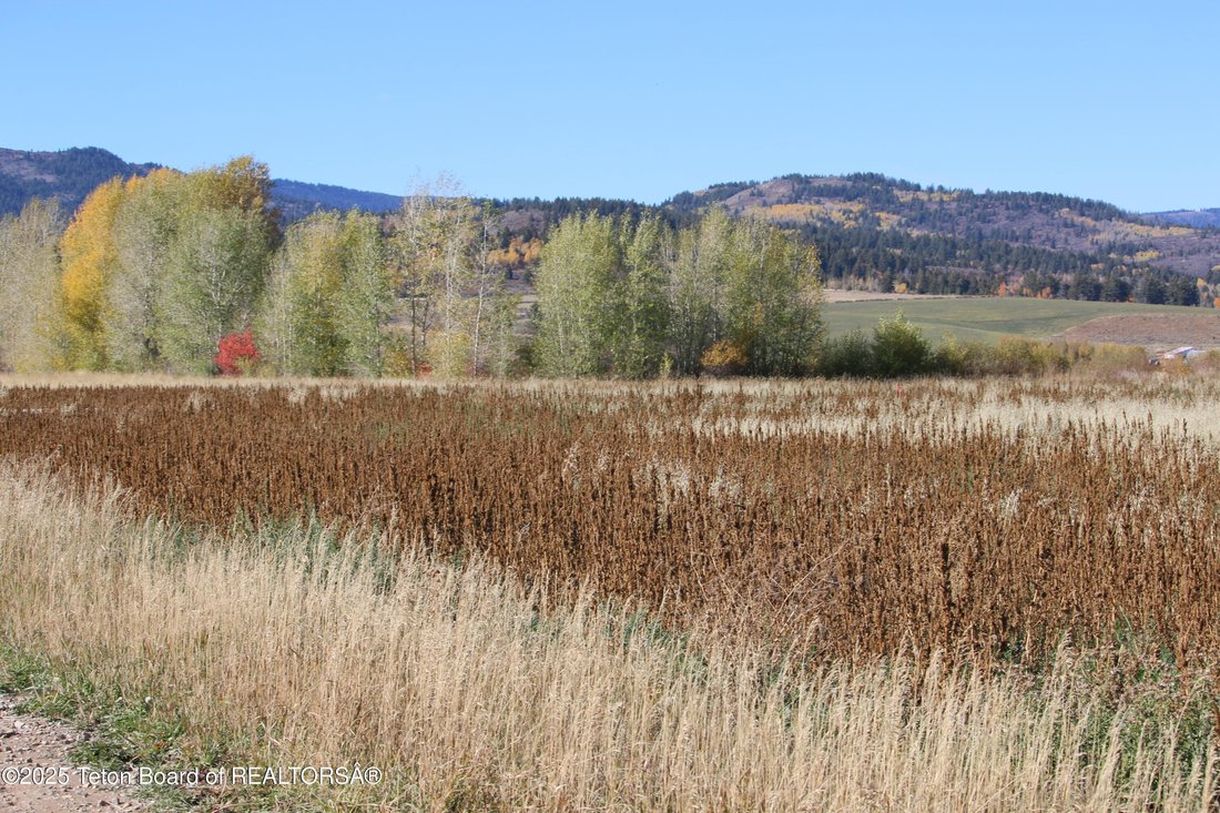 Land in Driggs, Idaho, United States 5 - 15818020