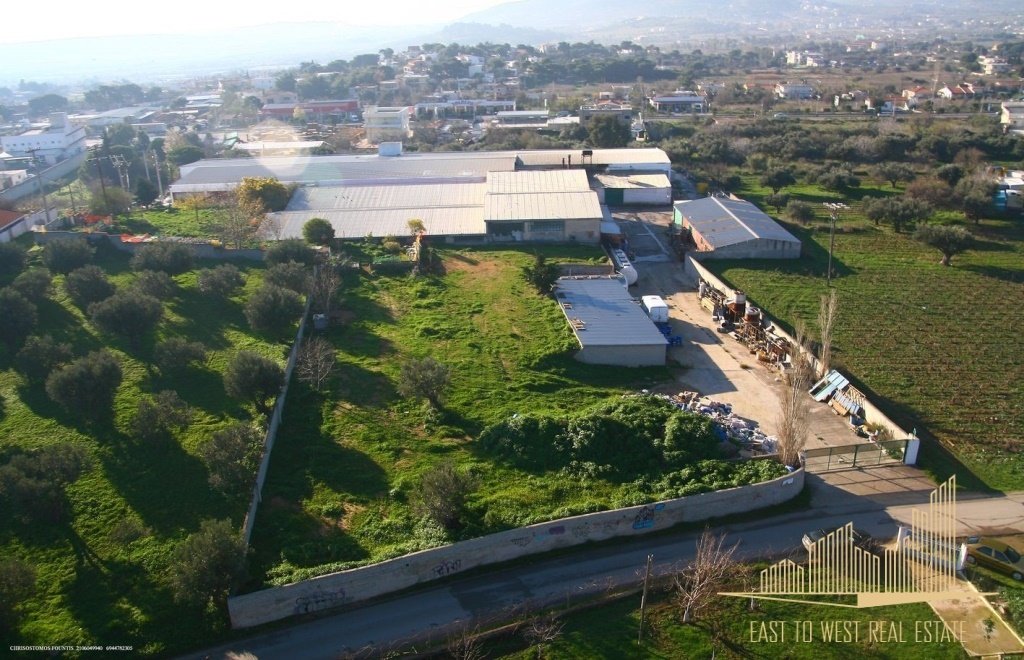 Glyka Nera, Attica, Greece 3 - 16470686
