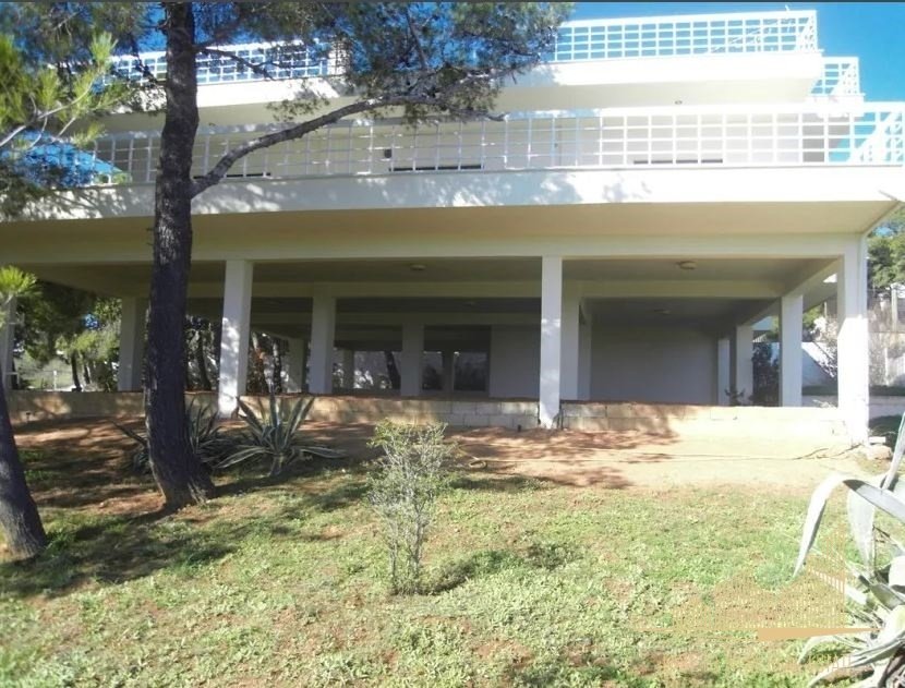House in Rafina, Attica, Greece 1 - 16470828