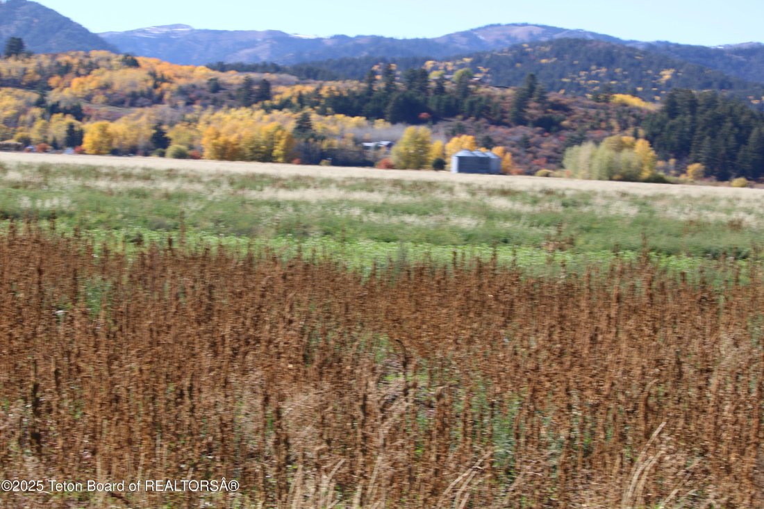 Land in Driggs, Idaho, United States 2 - 15818008
