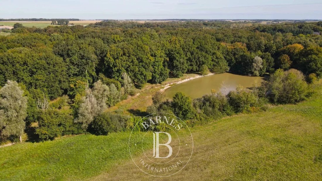 Estate in Vicq-sur-Nahon, Centre-Val de Loire, France 2 - 16307065