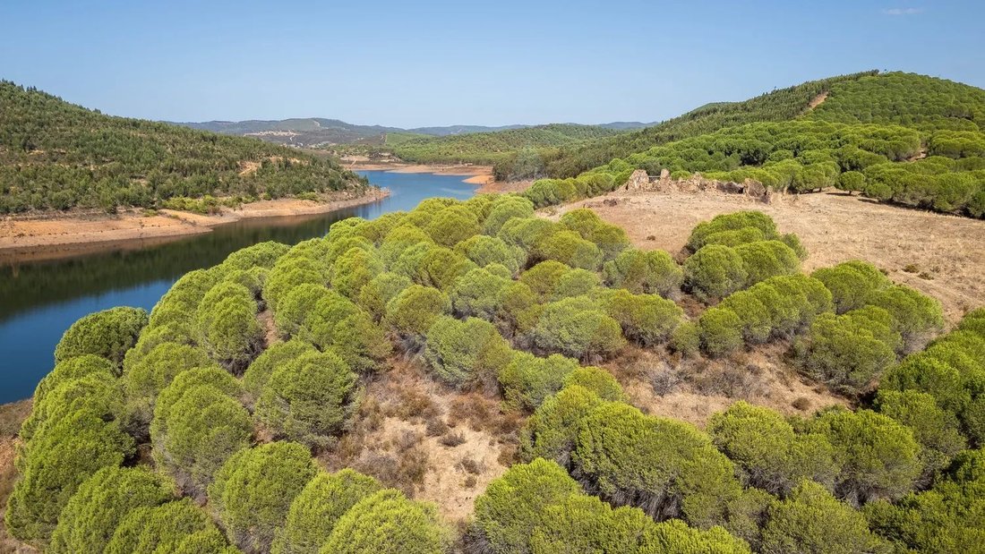 Farm Ranch in Bensafrim e Barao de Sao Joao, Algarve, Portugal 2 - 16466527