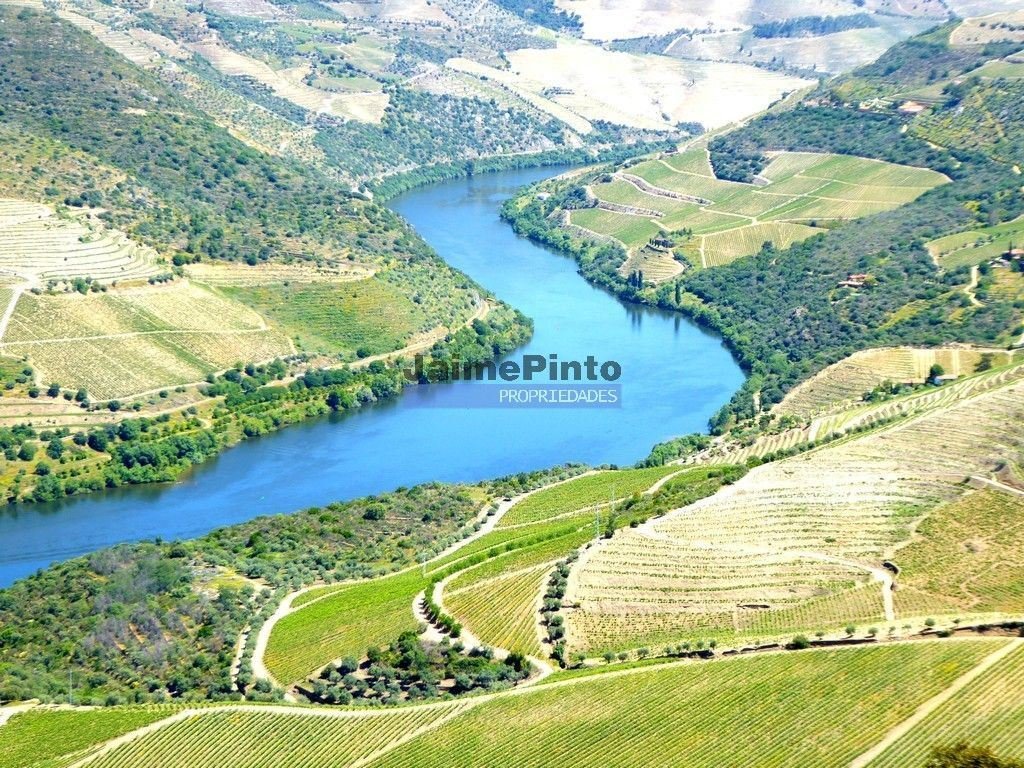 Farm Ranch in Vila Nova de Foz Coa, Guarda District, Portugal 5 - 16471289