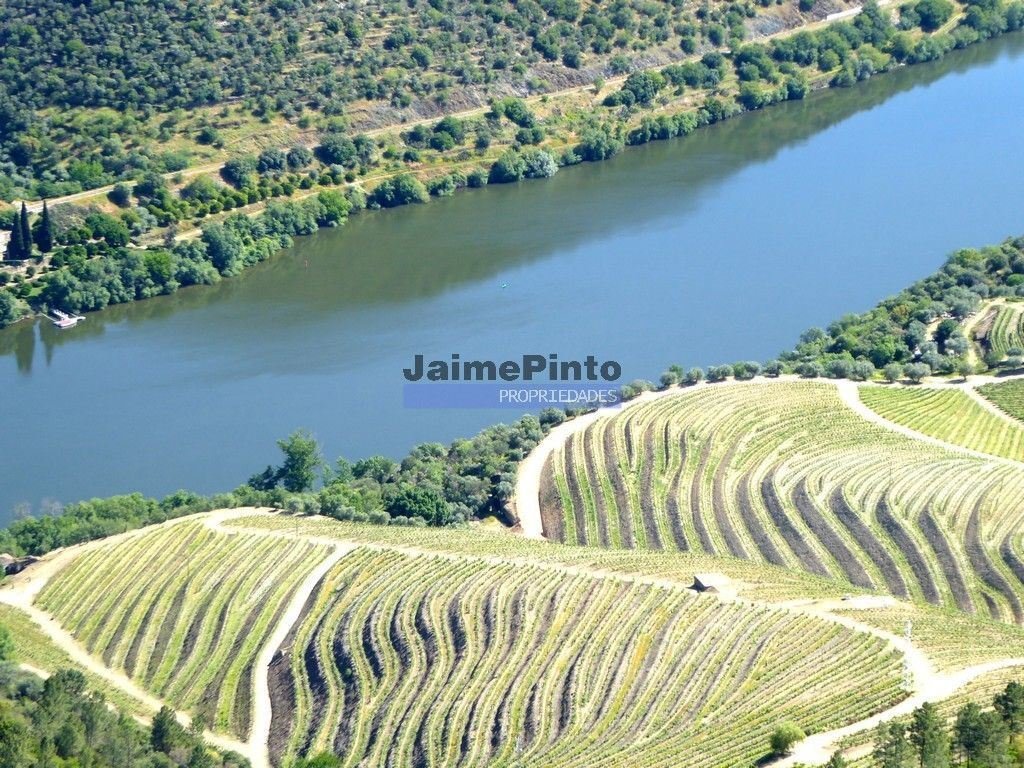 Farm Ranch in Vila Nova de Foz Coa, Guarda District, Portugal 2 - 16471289