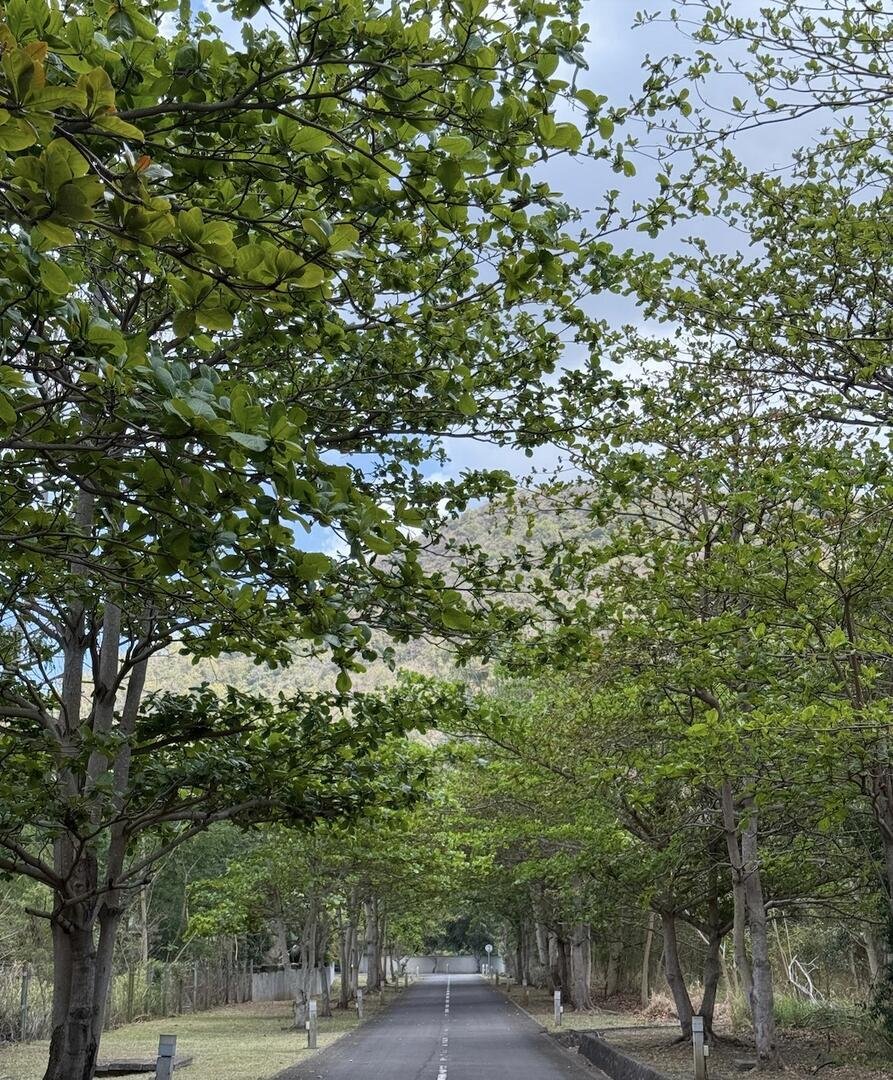 Land in Black River, Rivière Noire District, Mauritius 1 - 16471859
