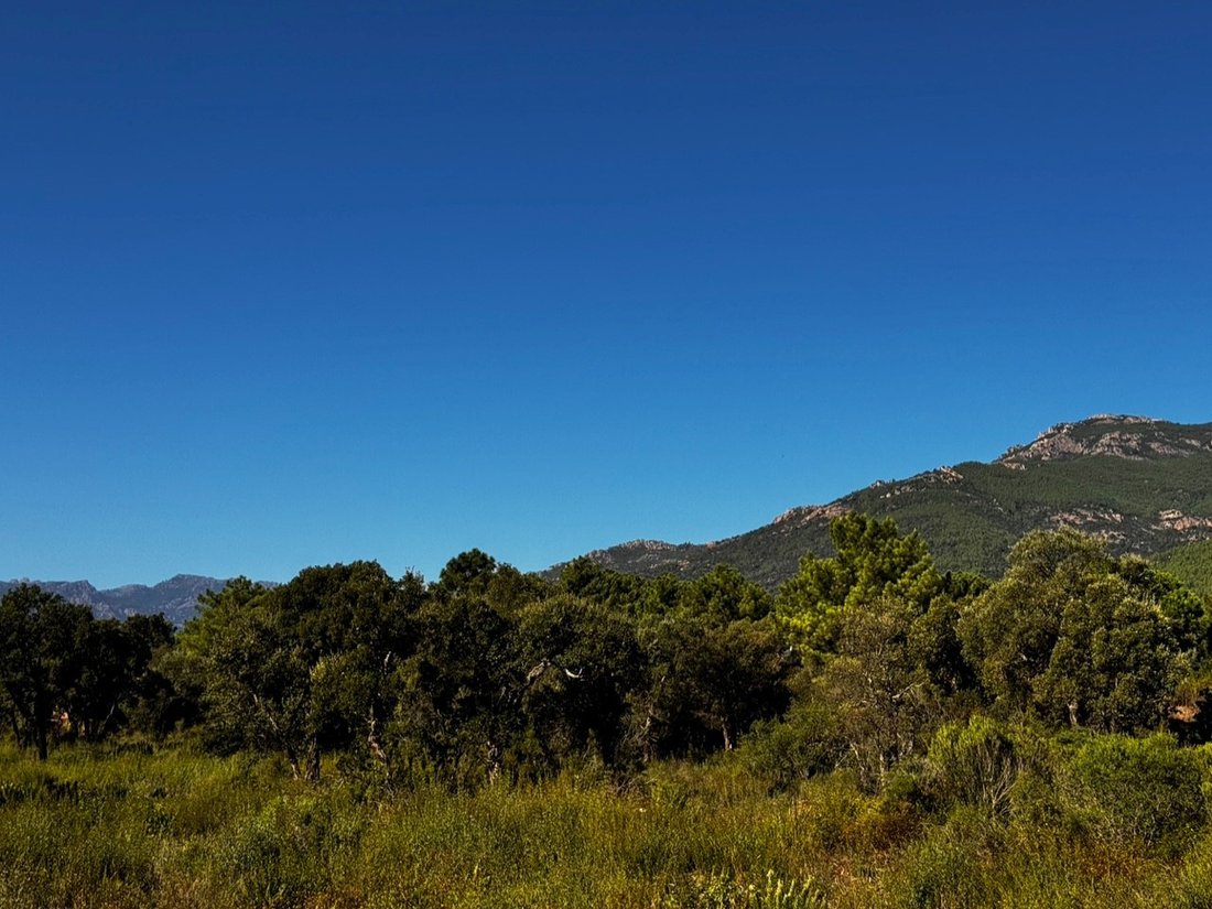 House in San-Gavino-di-Carbini, Corsica, France 4 - 16474034