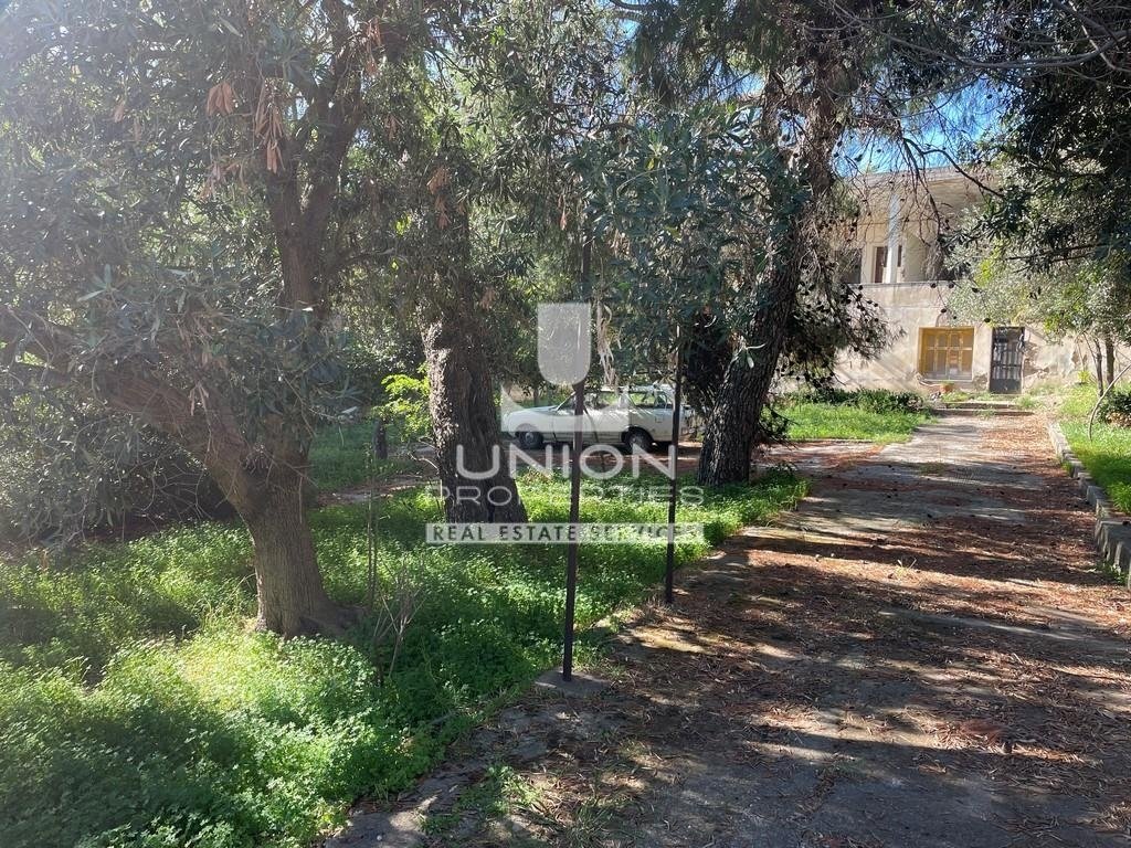 Land in Penteli, Attica, Greece 2 - 16475857