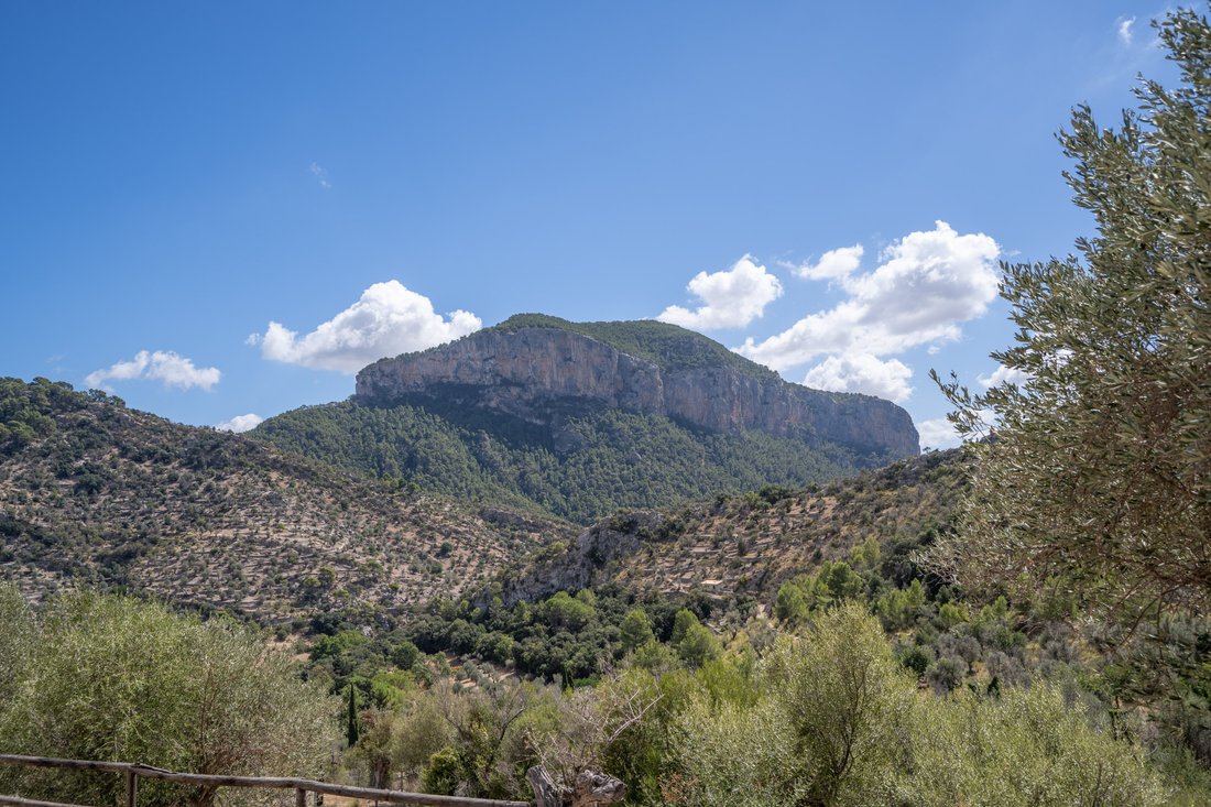 Finca in Bunyola, Balearic Islands, Spain 5 - 16474507