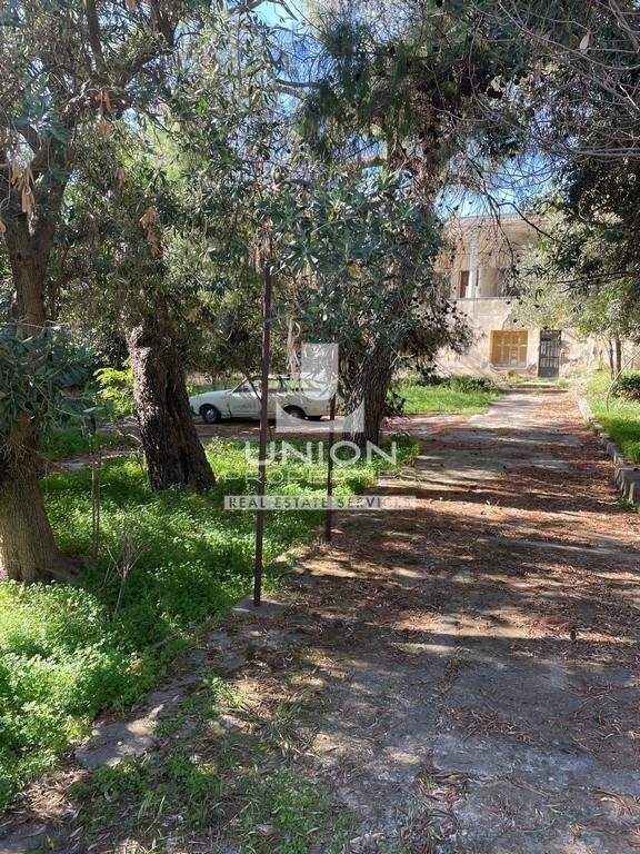 Land in Penteli, Attica, Greece 1 - 16475857