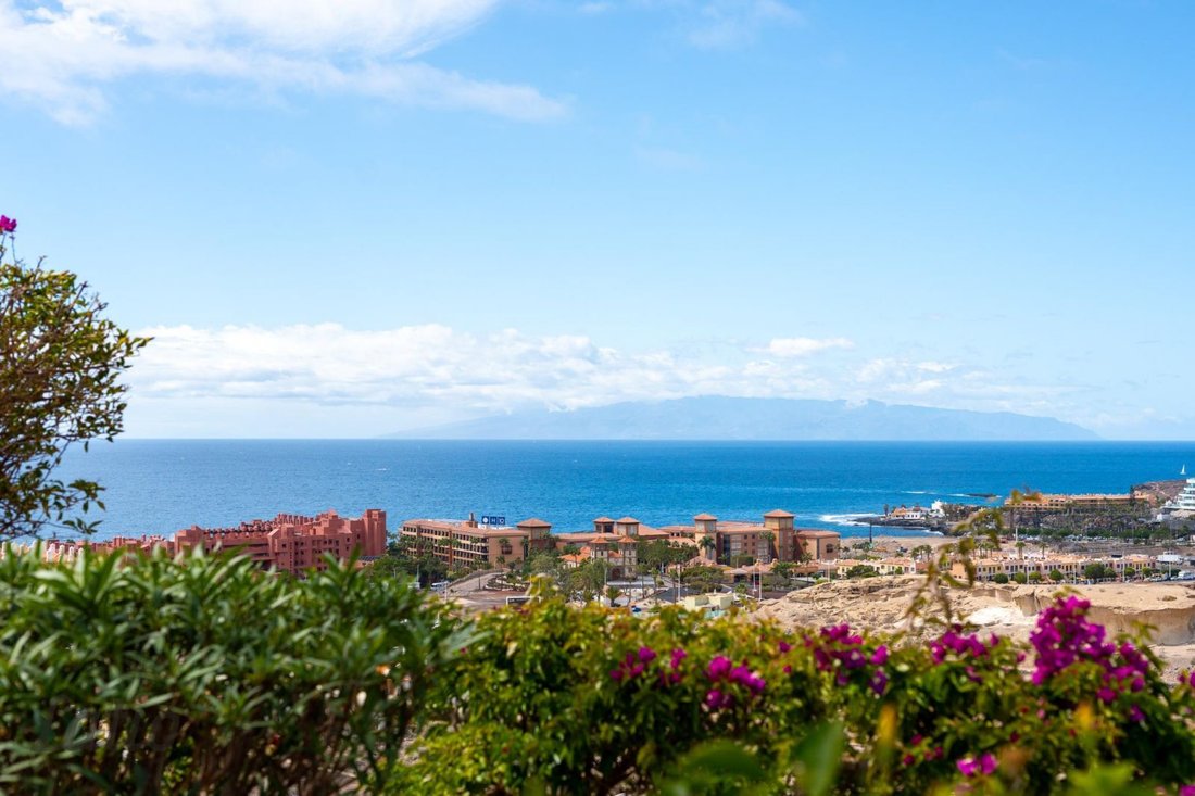 House in Costa Adeje, Adeje, Canary Islands 1 - 16474044