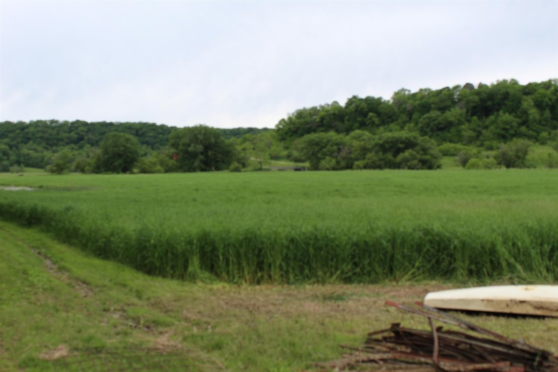 Land in Dickeyville, Wisconsin, United States 3 - 16474682