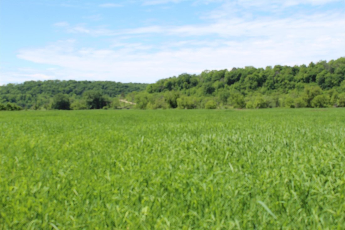Land in Dickeyville, Wisconsin, United States 2 - 16474682