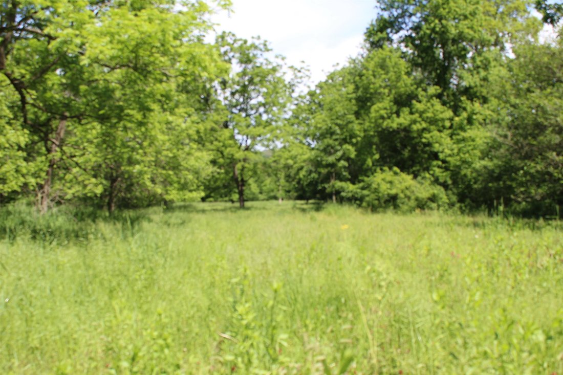 Land in Dickeyville, Wisconsin, United States 5 - 16474682