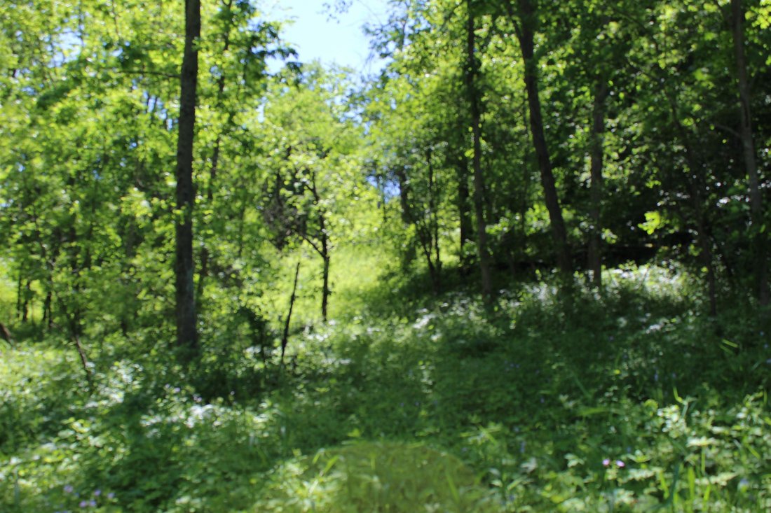 Land in Dickeyville, Wisconsin, United States 4 - 16474682