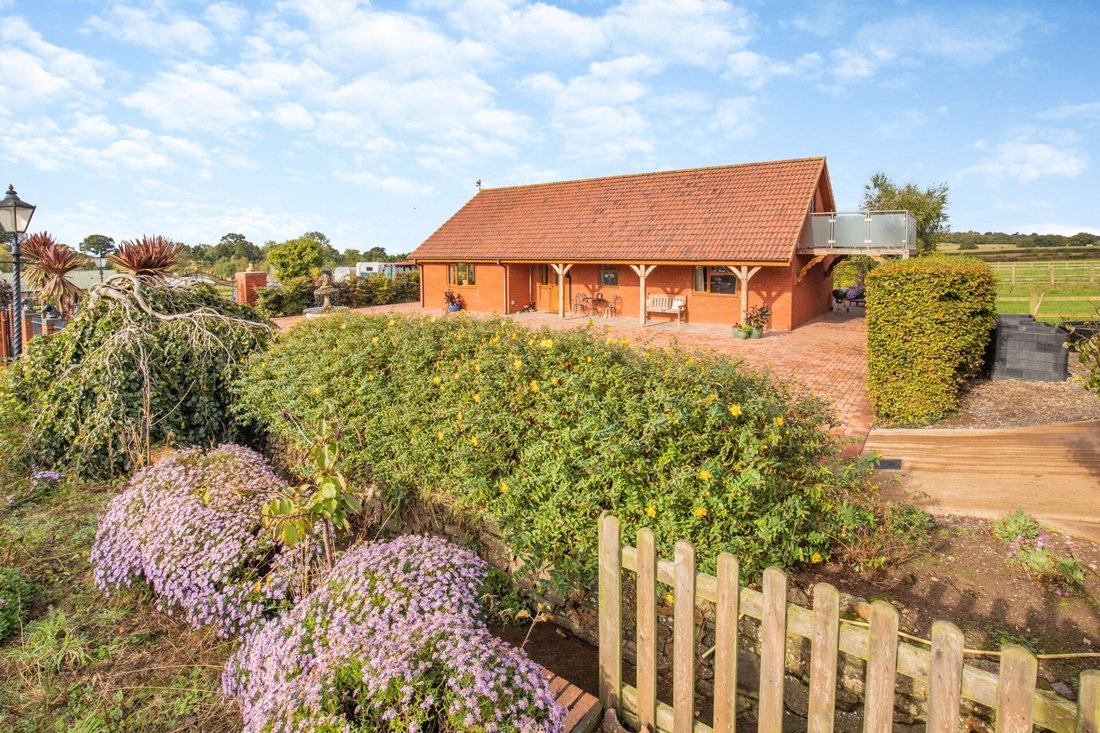 Farm Ranch in Devon, England 1 - 16475825