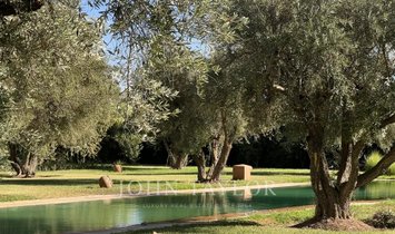 Villa in Annakhil, Marrakesh-Safi, Morocco 1