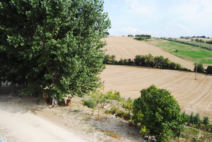 Country House in Spaccio Bagnolo, Marche, Italy 4 - 16476205
