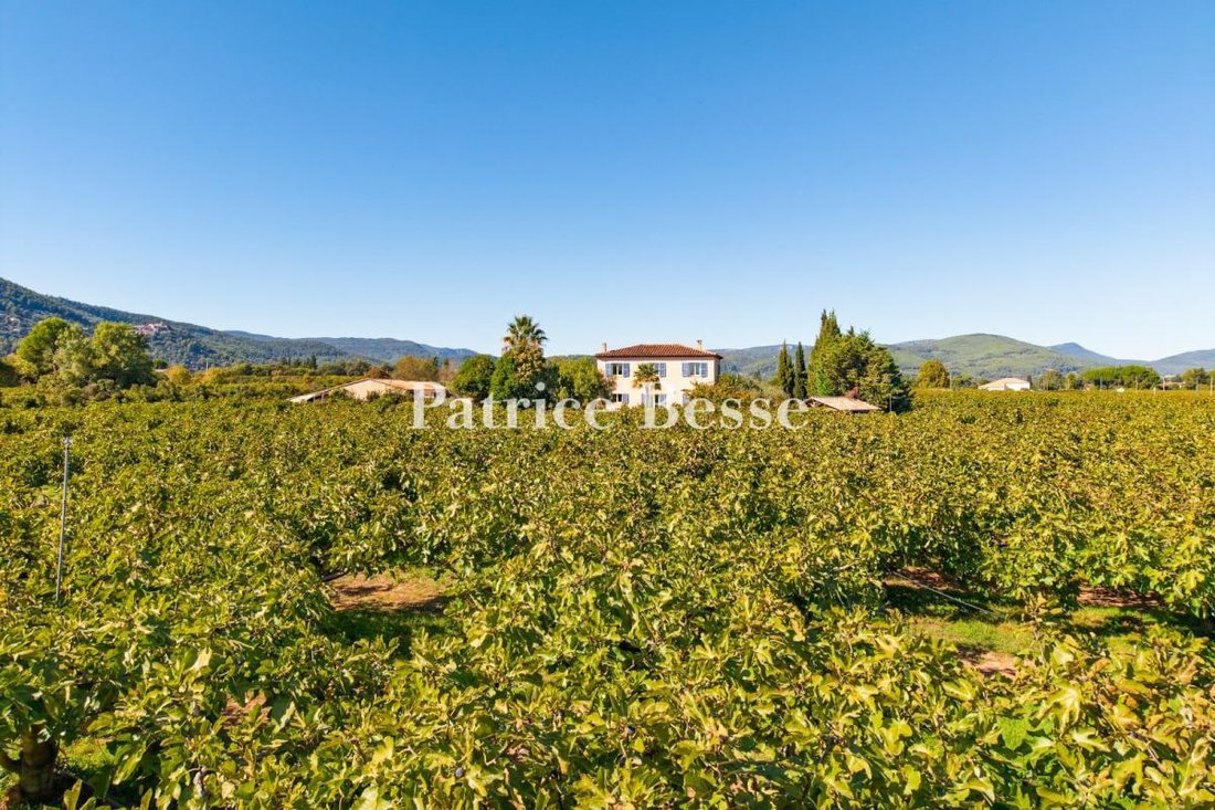 House in Solliès-Ville, Provence-Alpes-Côte d'Azur, France 2 - 16475854