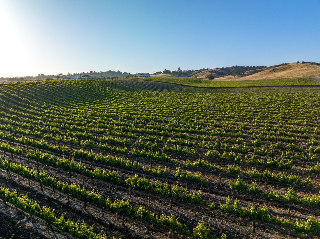 Land in Santa Ynez, California, United States 3 - 16476372
